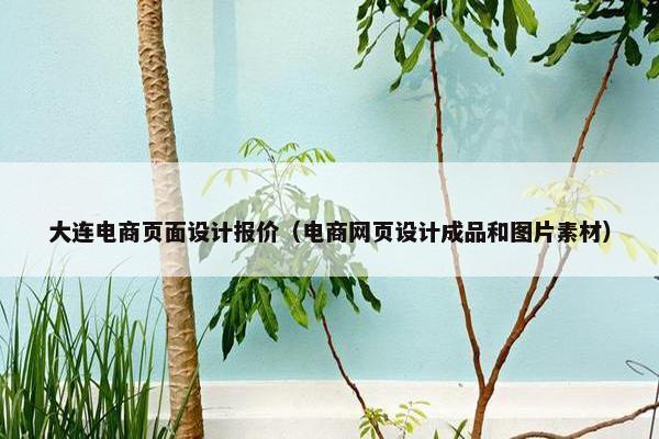 大连电商页面设计报价（电商网页设计成品和图片素材）