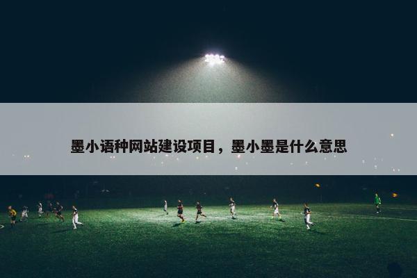 墨小语种网站建设项目，墨小墨是什么意思