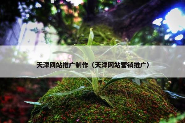 天津网站推广制作（天津网站营销推广）
