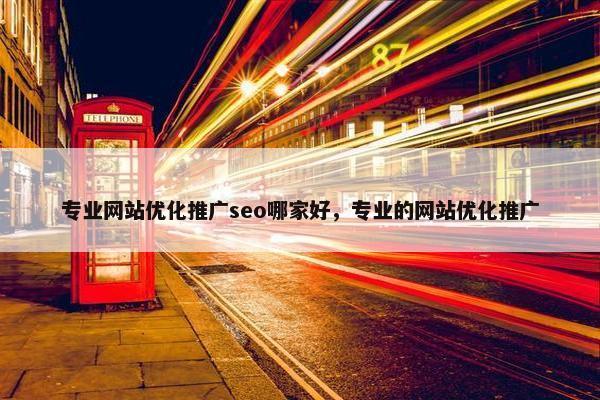 专业网站优化推广seo哪家好，专业的网站优化推广
