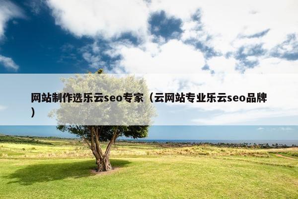 网站制作选乐云seo专家（云网站专业乐云seo品牌）
