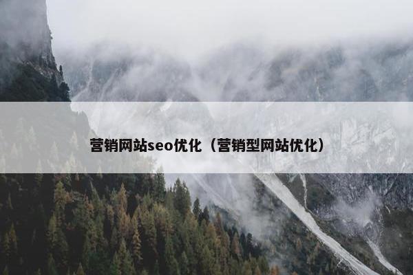 营销网站seo优化（营销型网站优化）