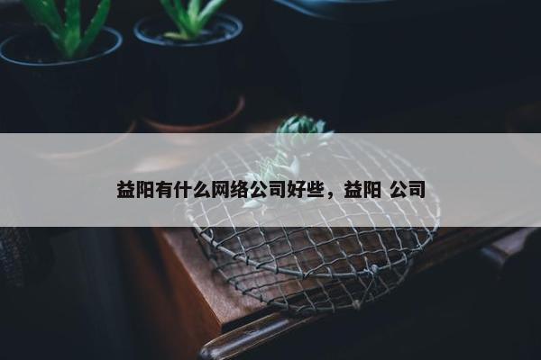 益阳有什么网络公司好些，益阳 公司