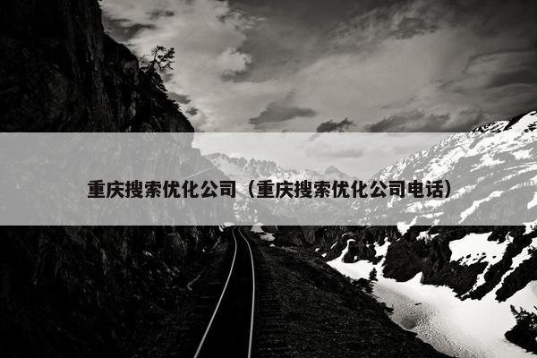 重庆搜索优化公司（重庆搜索优化公司电话）