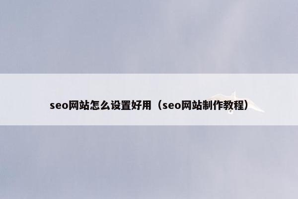 seo网站怎么设置好用（seo网站制作教程）
