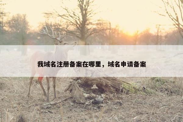我域名注册备案在哪里，域名申请备案