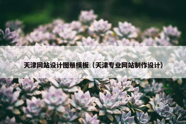 天津网站设计图册模板（天津专业网站制作设计）