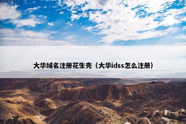 大华域名注册花生壳（大华idss怎么注册）