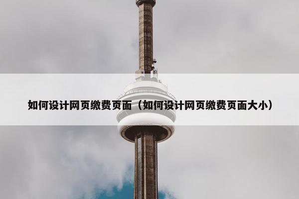 如何设计网页缴费页面（如何设计网页缴费页面大小）