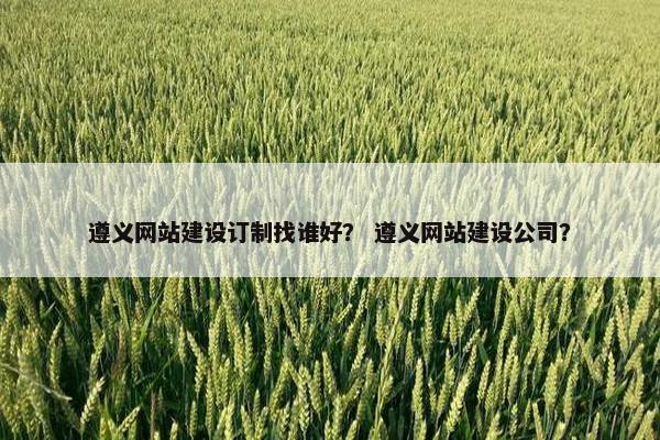 遵义网站建设订制找谁好？ 遵义网站建设公司？
