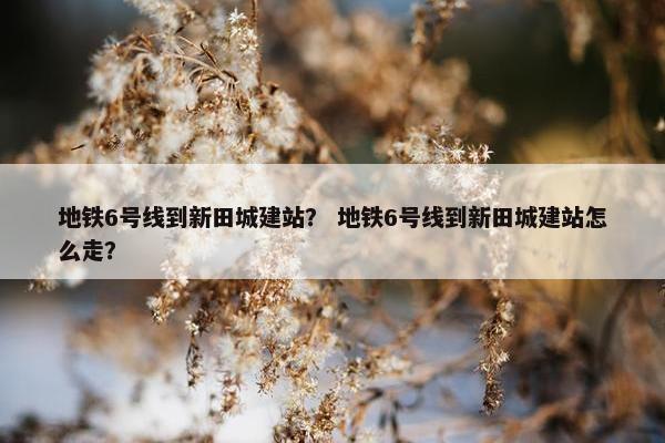 地铁6号线到新田城建站？ 地铁6号线到新田城建站怎么走？