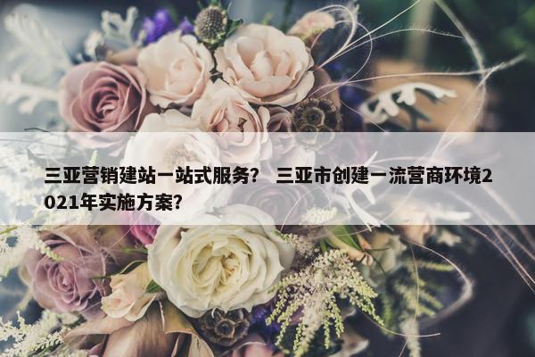 三亚营销建站一站式服务？ 三亚市创建一流营商环境2021年实施方案？