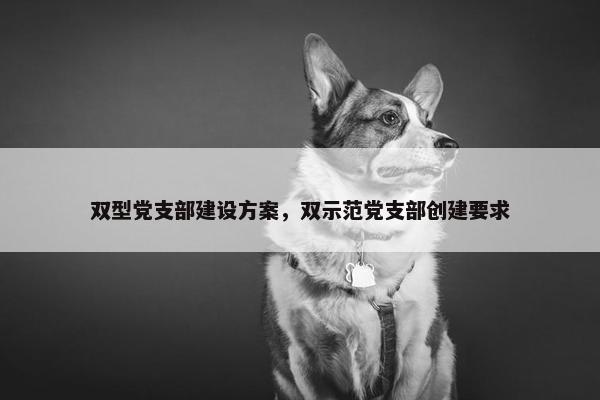 双型党支部建设方案，双示范党支部创建要求