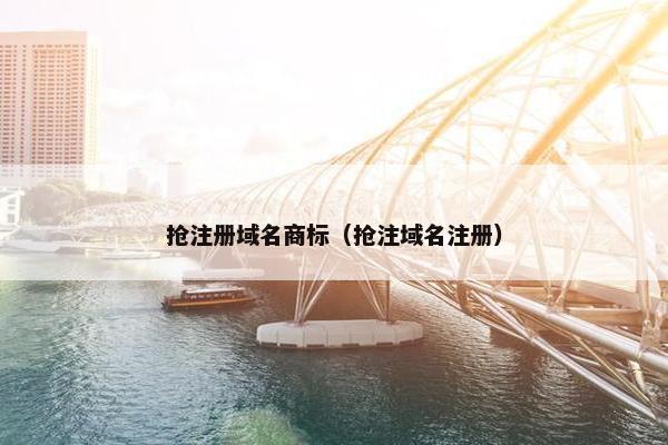 抢注册域名商标（抢注域名注册）
