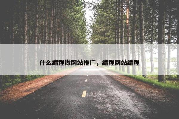 什么编程做网站推广，编程网站编程