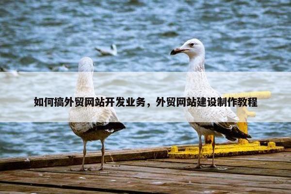 如何搞外贸网站开发业务，外贸网站建设制作教程