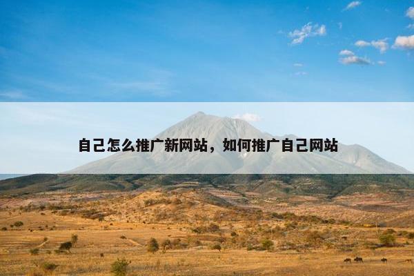 自己怎么推广新网站，如何推广自己网站