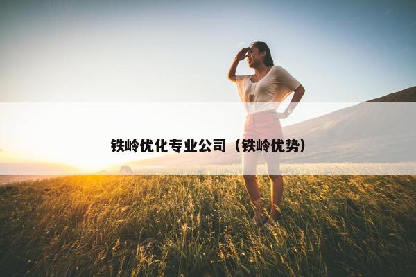 铁岭优化专业公司（铁岭优势）