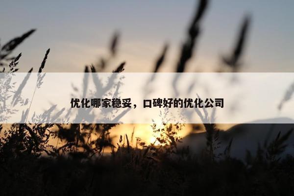 优化哪家稳妥，口碑好的优化公司