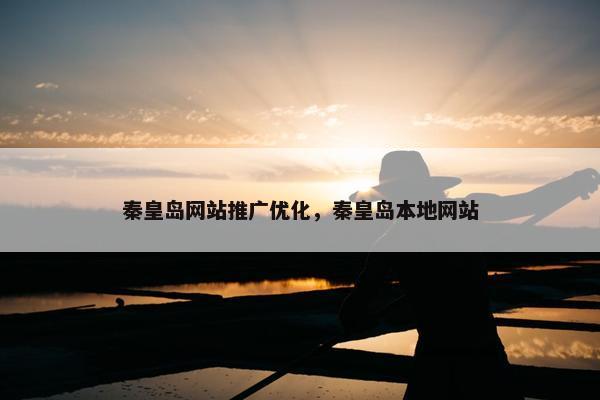 秦皇岛网站推广优化，秦皇岛本地网站