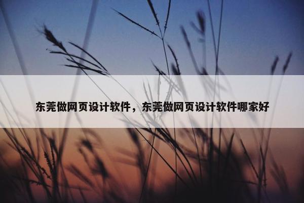 东莞做网页设计软件，东莞做网页设计软件哪家好