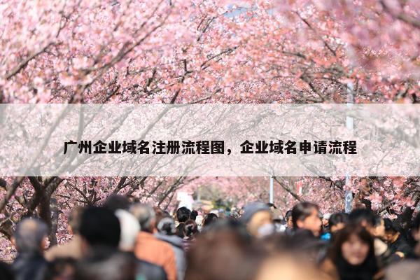 广州企业域名注册流程图，企业域名申请流程