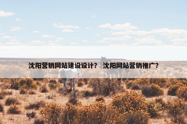 沈阳营销网站建设设计？ 沈阳网站营销推广？