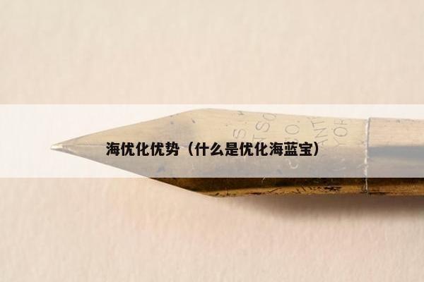 海优化优势（什么是优化海蓝宝）