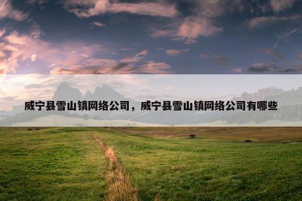 威宁县雪山镇网络公司，威宁县雪山镇网络公司有哪些