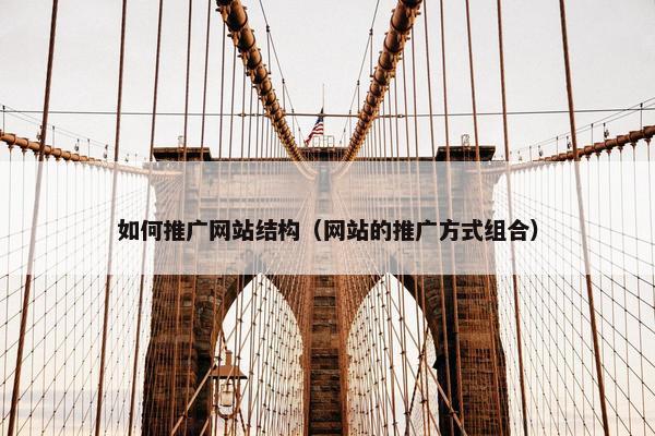 如何推广网站结构（网站的推广方式组合）