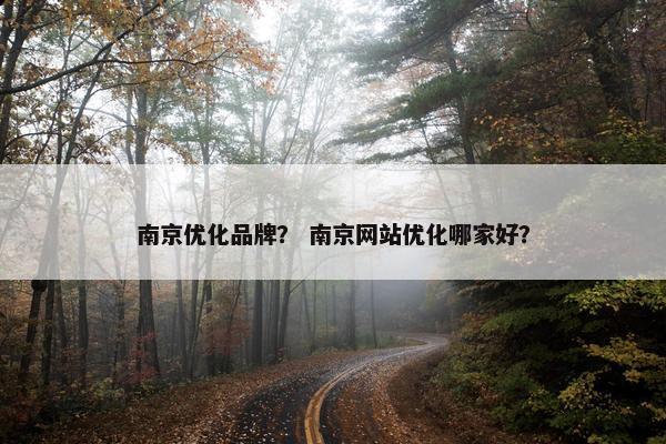 南京优化品牌？ 南京网站优化哪家好？