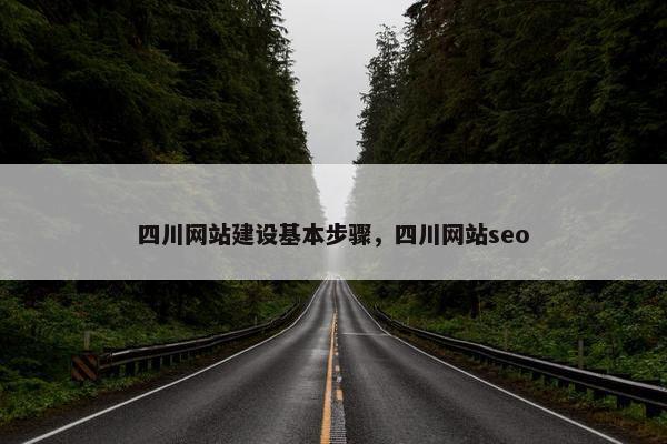 四川网站建设基本步骤，四川网站seo