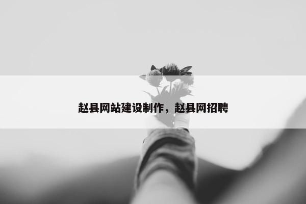 赵县网站建设制作，赵县网招聘