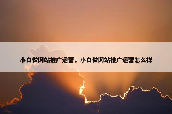 小白做网站推广运营，小白做网站推广运营怎么样
