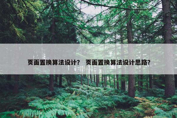 页面置换算法设计？ 页面置换算法设计思路？