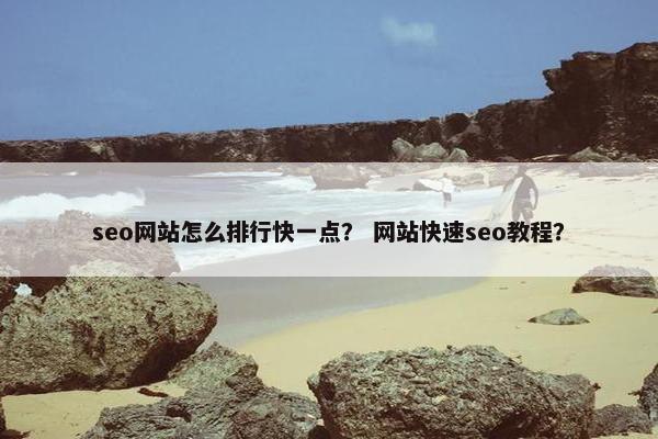 seo网站怎么排行快一点？ 网站快速seo教程？
