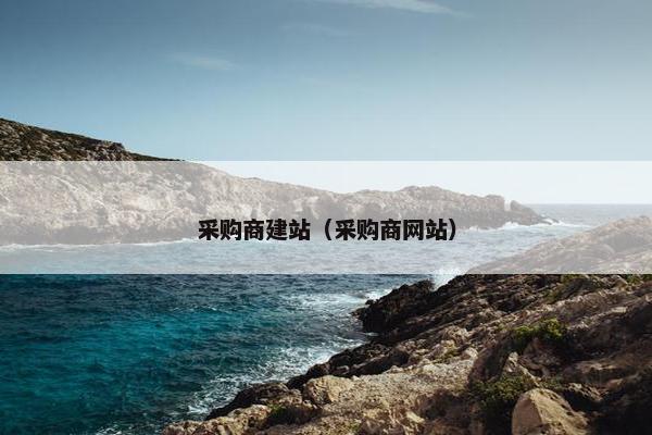 采购商建站（采购商网站）