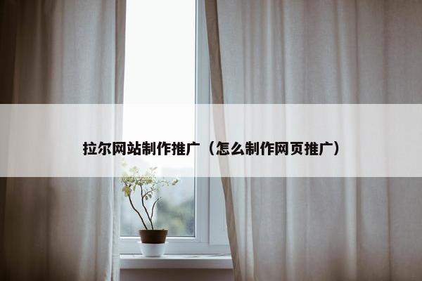 拉尔网站制作推广（怎么制作网页推广）