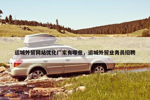 运城外贸网站优化厂家有哪些，运城外贸业务员招聘