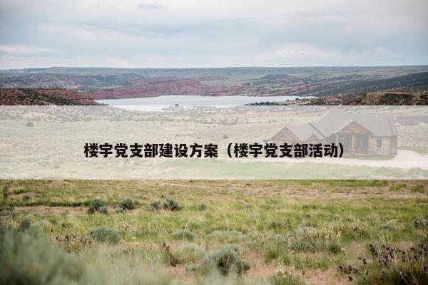 楼宇党支部建设方案（楼宇党支部活动）
