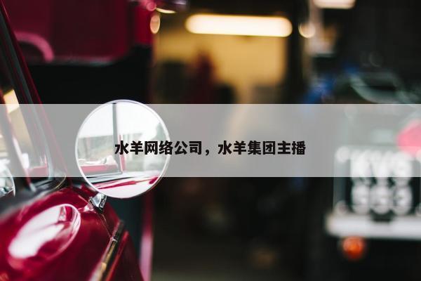 水羊网络公司，水羊集团主播