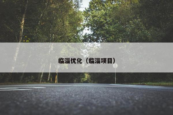 临淄优化（临淄项目）