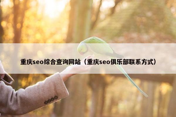 重庆seo综合查询网站（重庆seo俱乐部联系方式）