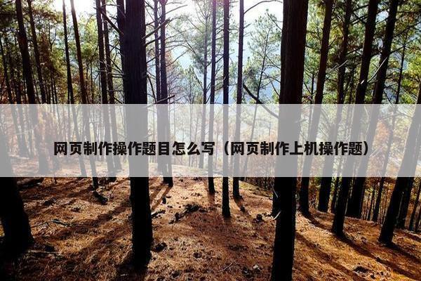网页制作操作题目怎么写（网页制作上机操作题）