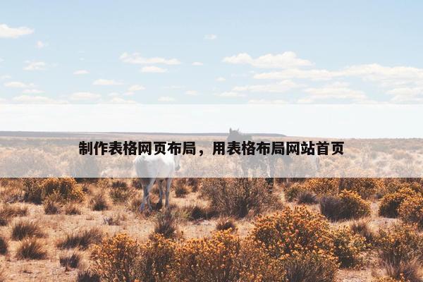 制作表格网页布局，用表格布局网站首页