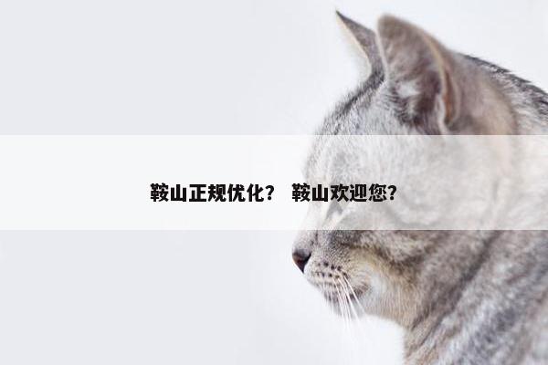 鞍山正规优化？ 鞍山欢迎您？