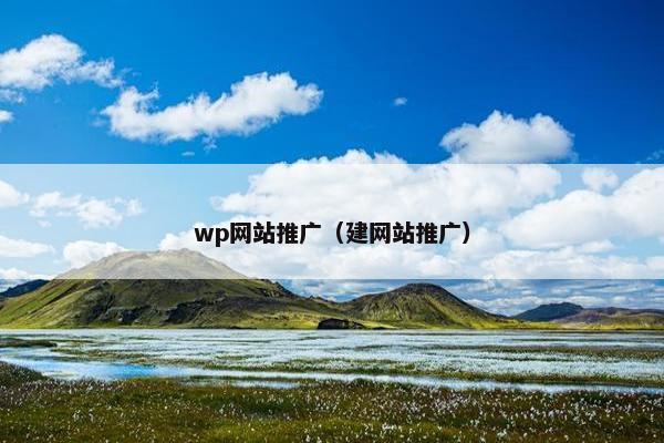 wp网站推广（建网站推广）