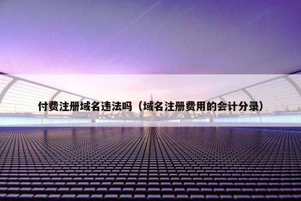 付费注册域名违法吗（域名注册费用的会计分录）