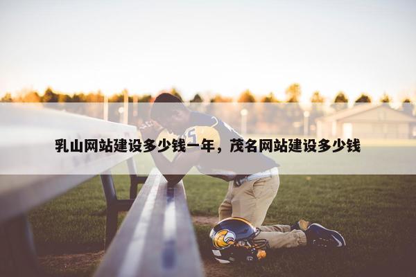 乳山网站建设多少钱一年，茂名网站建设多少钱