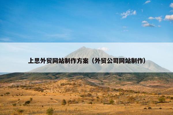 上思外贸网站制作方案（外贸公司网站制作）